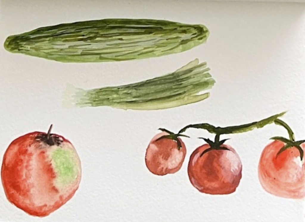 Vegetable studies, Berlin